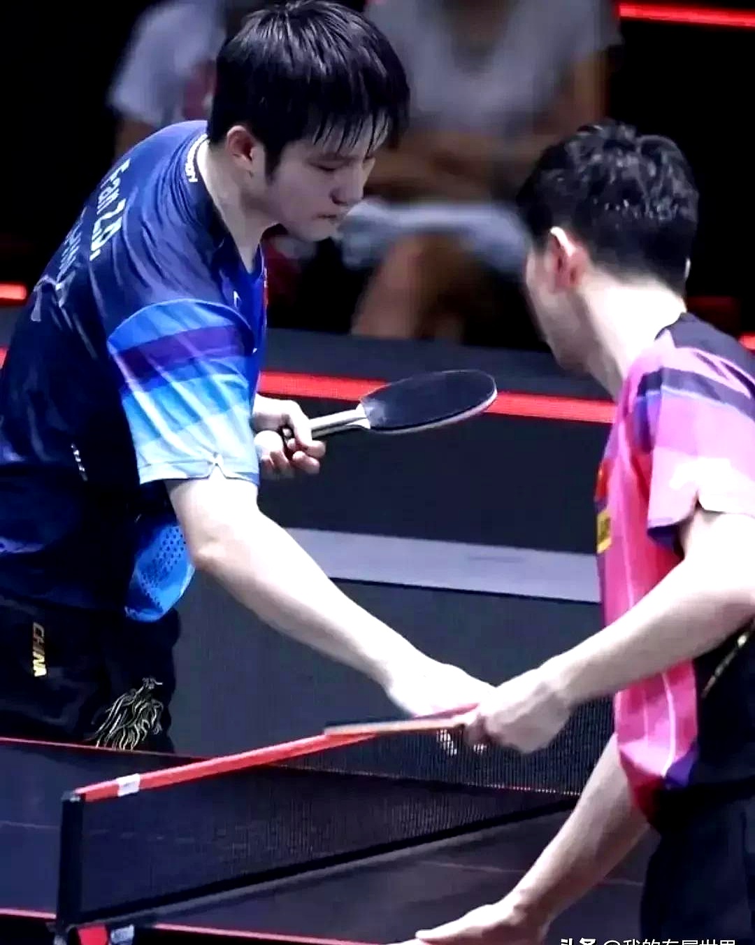 关于波兰乒乓球队强势日本乒乓球队,马龙关键制胜的信息 关于波兰乒乓球队强势日本乒乓球队,马龙关键制胜的信息