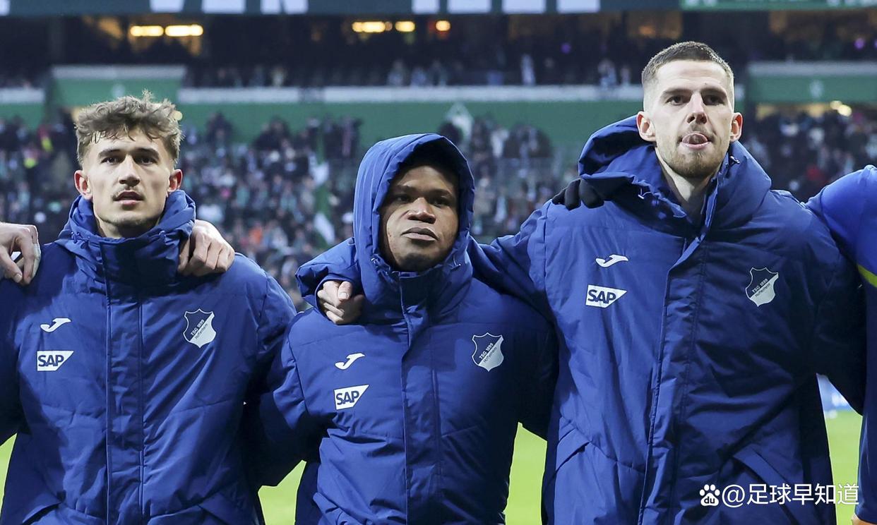 开云体育APP下载-霍芬海姆新援梅开二度，主场不敌不莱梅踌躇失利的简单介绍