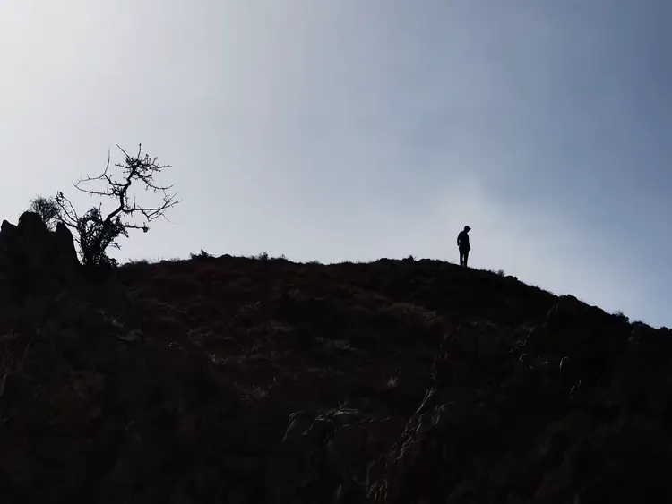 包含宁夏银川主场战胜山东山神，取得胜利的词条