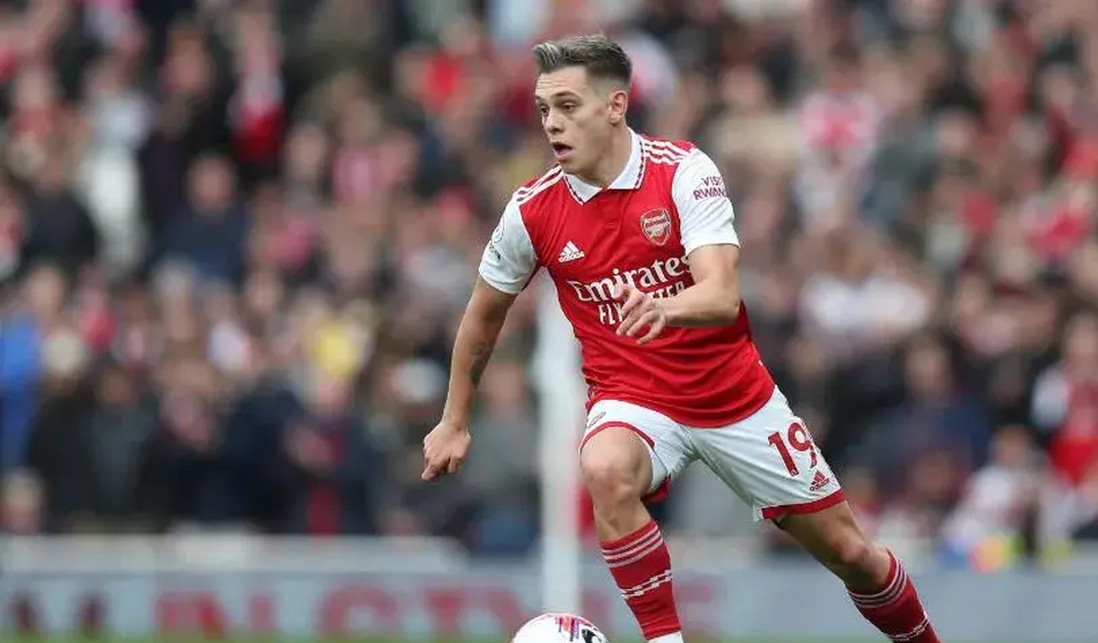 体育传奇崭露头角:一战成名的豪迈姿态的简单介绍 体育传奇崭露头角:一战成名的豪迈姿态的简单介绍