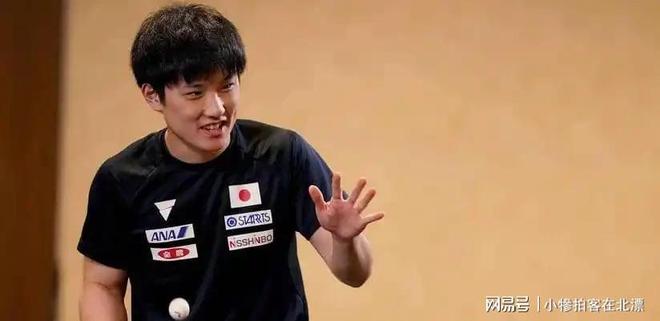 开云官方app入口-比利时乒乓球队完胜德国乒乓球队，张本智和惊艳世界的简单介绍
