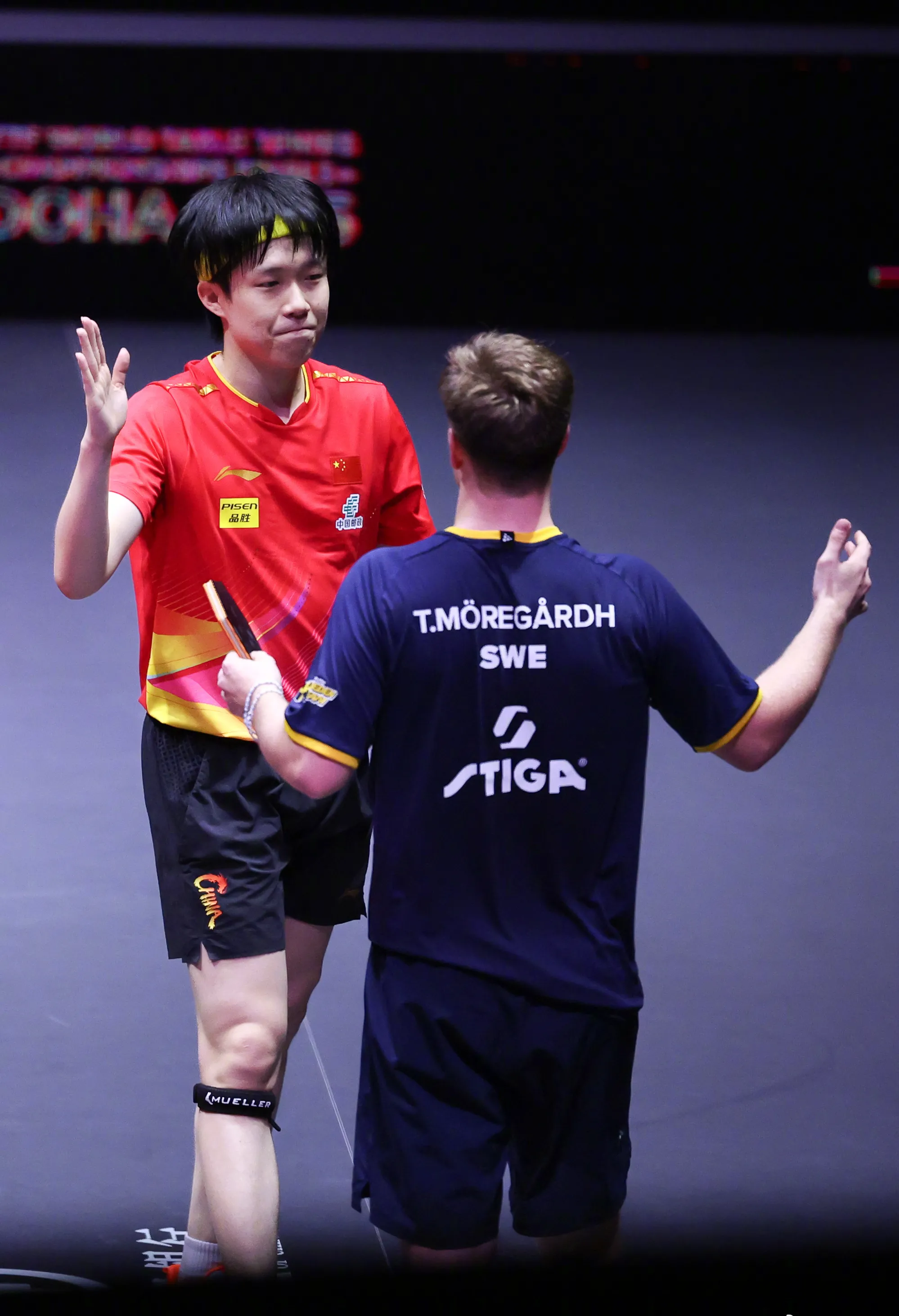 开云官方app入口-关于波兰队力克法国队，王皓惊艳四座的信息