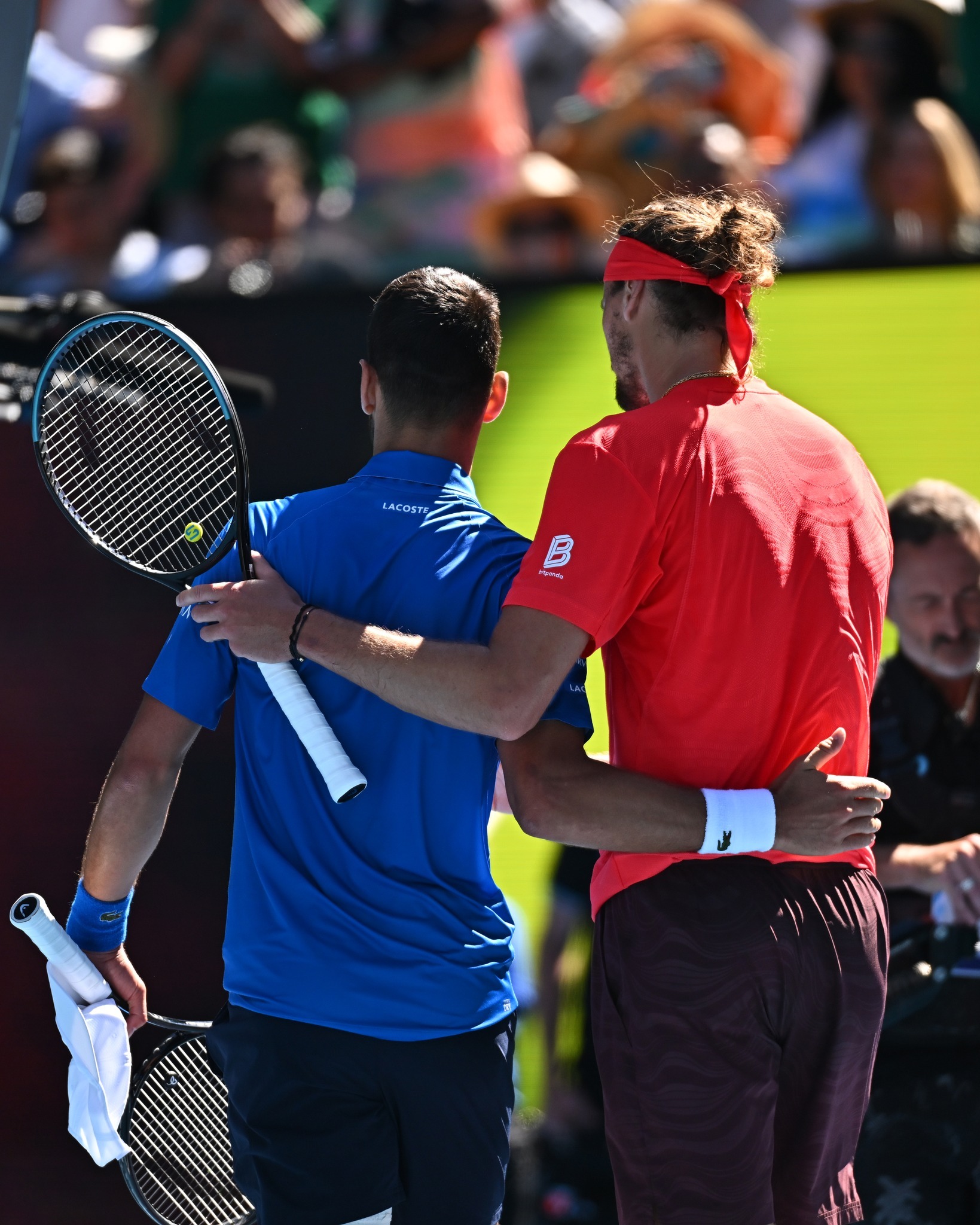 澳网逆转戴维斯杯，兹维列夫统治全场的简单介绍