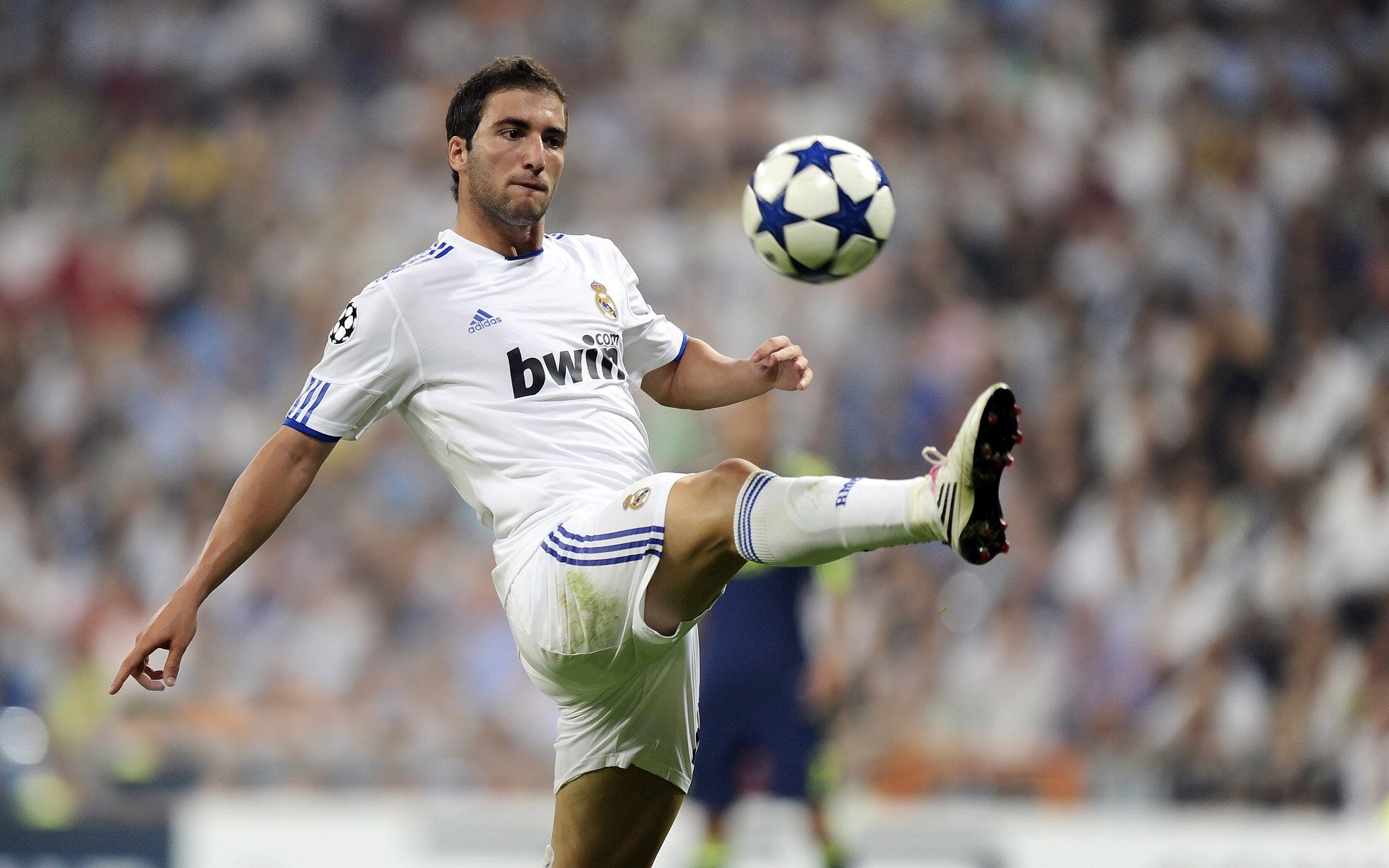 开云体育-赛道与球场，速度与团队的双重奏